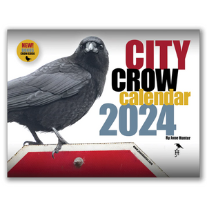 City Crow Calendar 2024