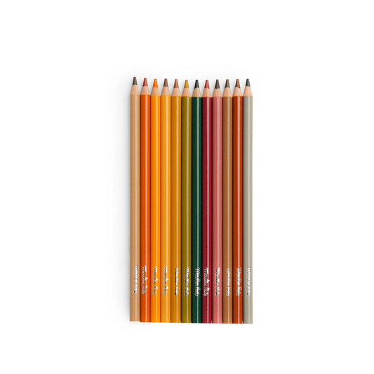 12 ANIMAL Colouring Pencils and Cards