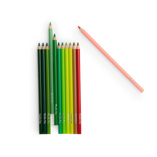 Le Botaniste - 12 NATURE Colouring Pencils and Cards