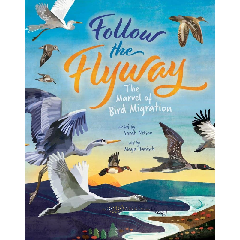 Follow the Flyway: The Marvel of Bird Migration