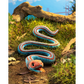 Garter Snake