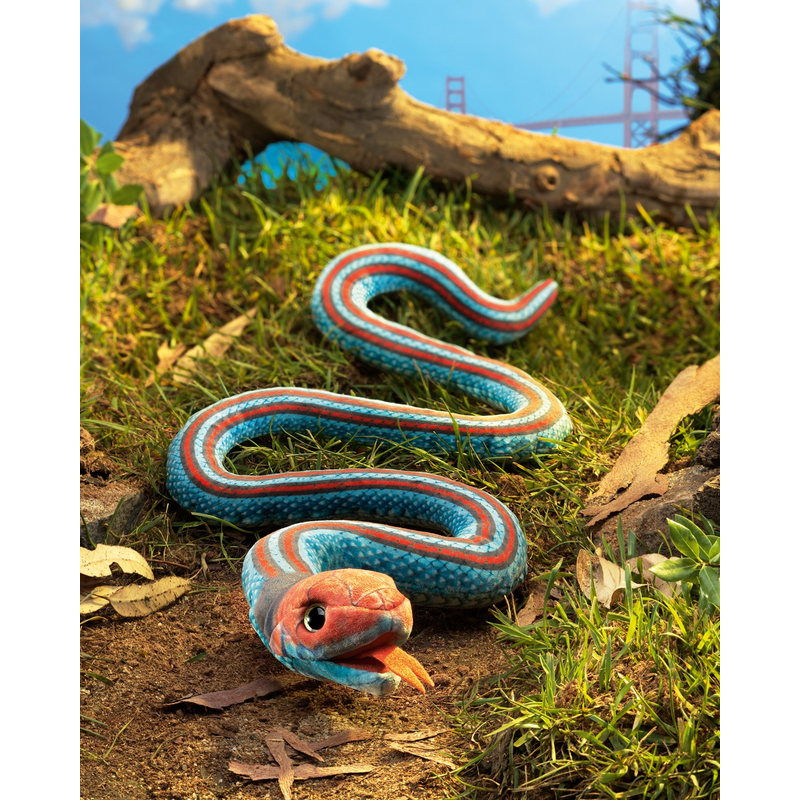 Garter Snake