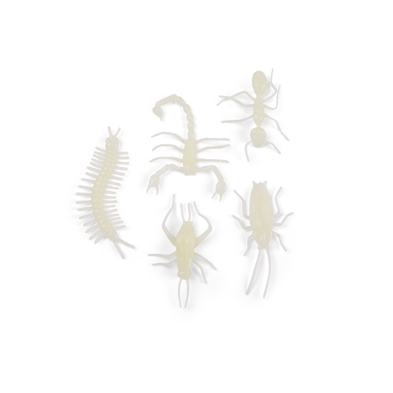 Petites Merveilles - Glow-in-the-Dark Insects