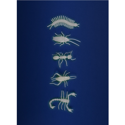 Petites Merveilles - Glow-in-the-Dark Insects