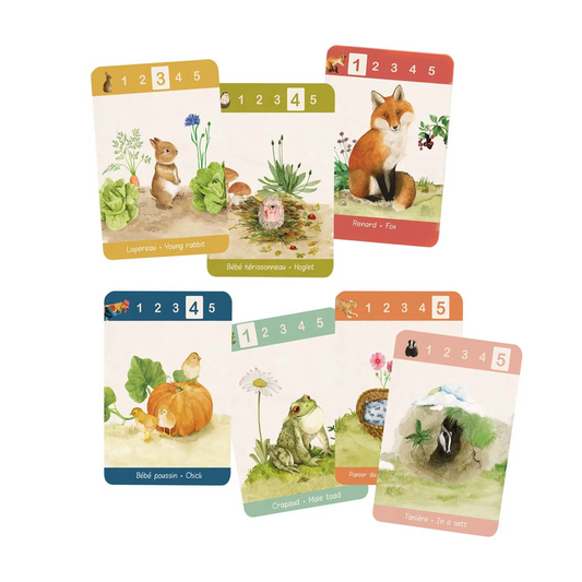 Le Jardinier - Happy Families Game