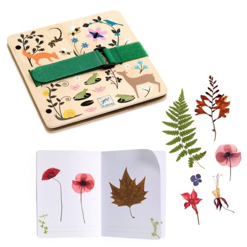 DIY / Budding botanist : press and herbarium