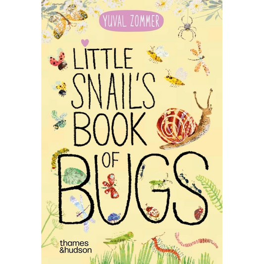 Little Snail's Book of Bugs (The Big Book Series)