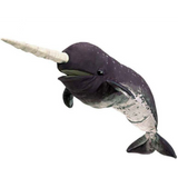 Narwhal