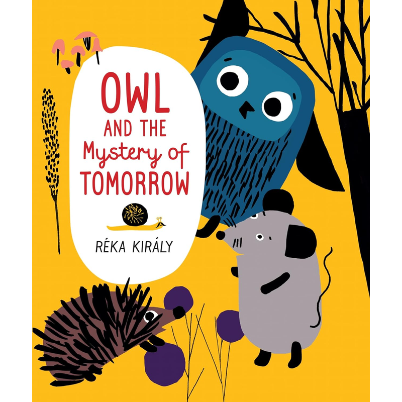 Owl and the Mystery of Tomorrow