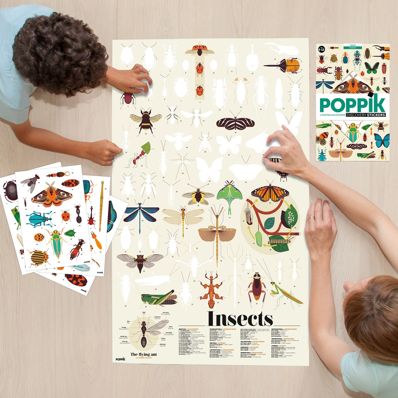 Discovery Poster Insects