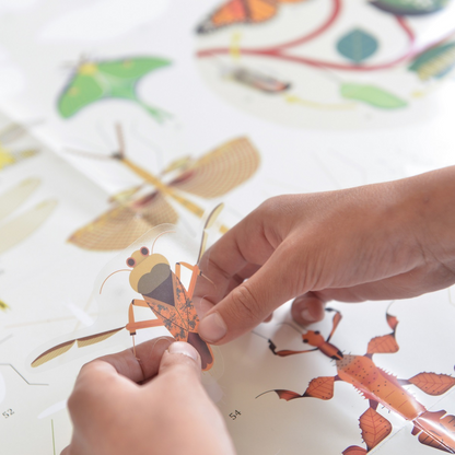 Discovery Poster Insects