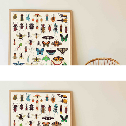 Discovery Poster Insects