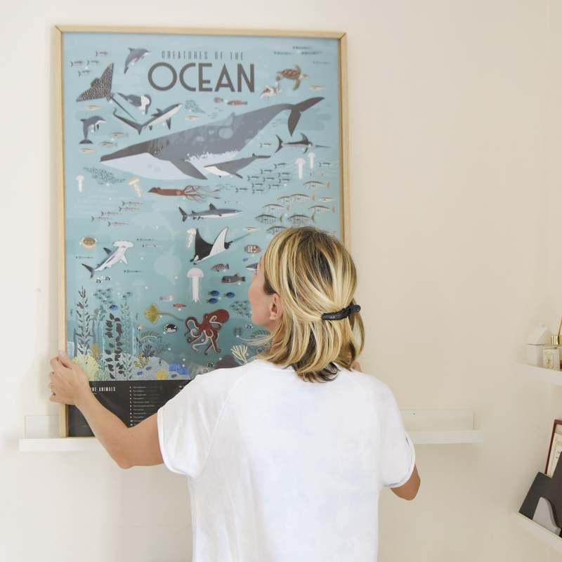 Discovery Poster Oceans