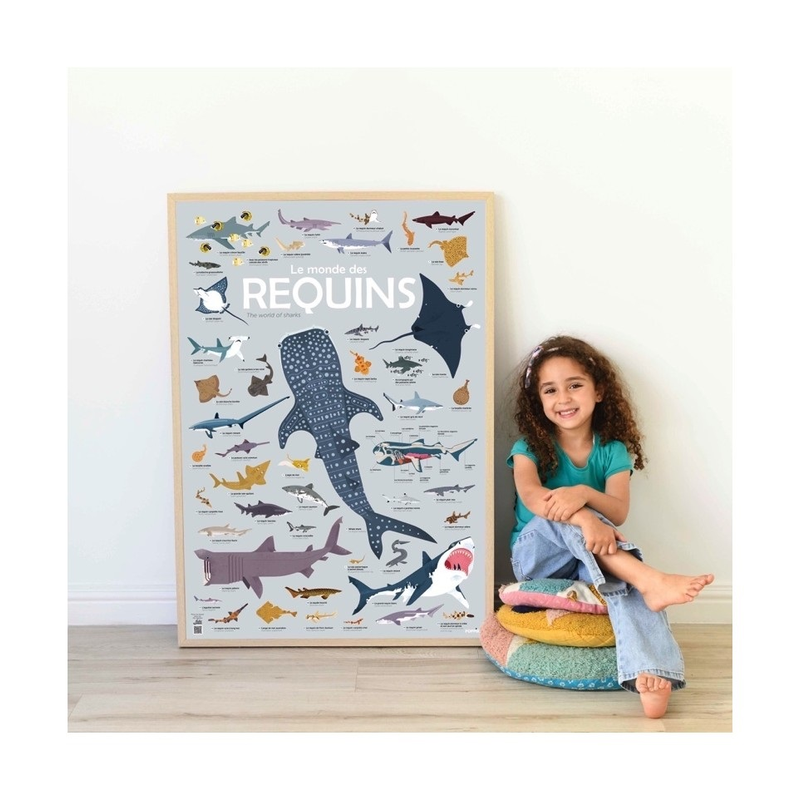 Shark Discovery Poster by Poppik