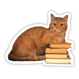 Smarty Cat Sticker