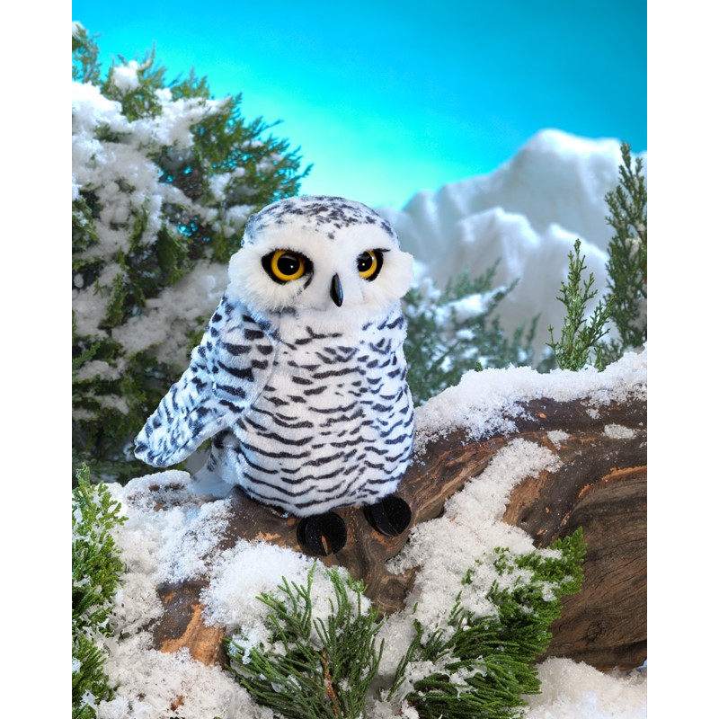 Snowy Owl -small