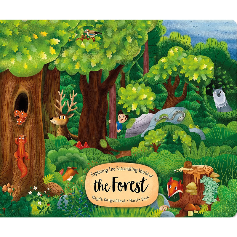 Exploring the Fascinating World of the Forest (Happy Fox Books) Board Book for Kids Ages 3-6 - Walk Deeper into the Trees with Each Page Turn, with Educational Facts and Vocabulary Words