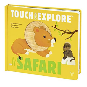 Touch and Explore: Safari