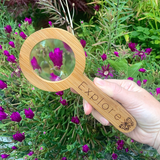 Magnifying Glasses by Tree Fort Toys