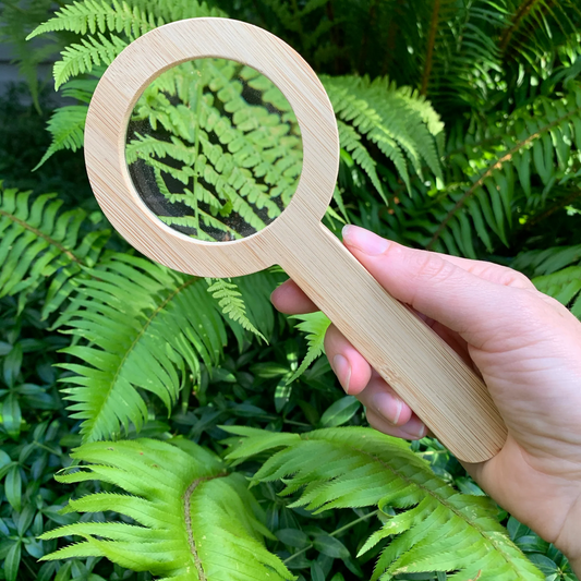 Magnifying Glasses by Tree Fort Toys