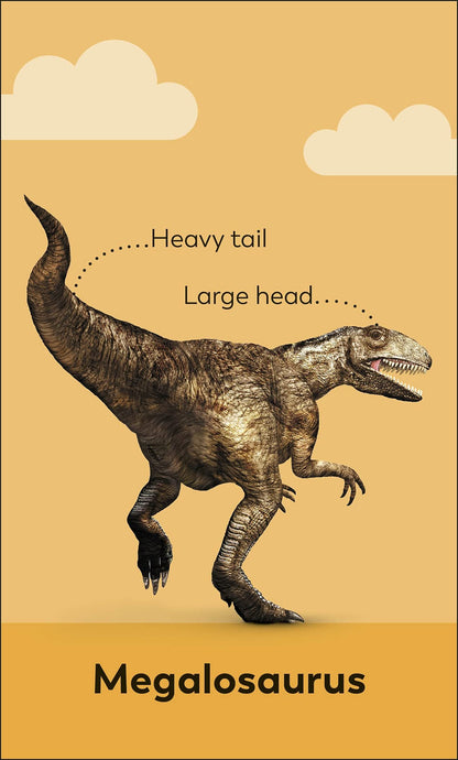 My First Dinosaur Flash Cards