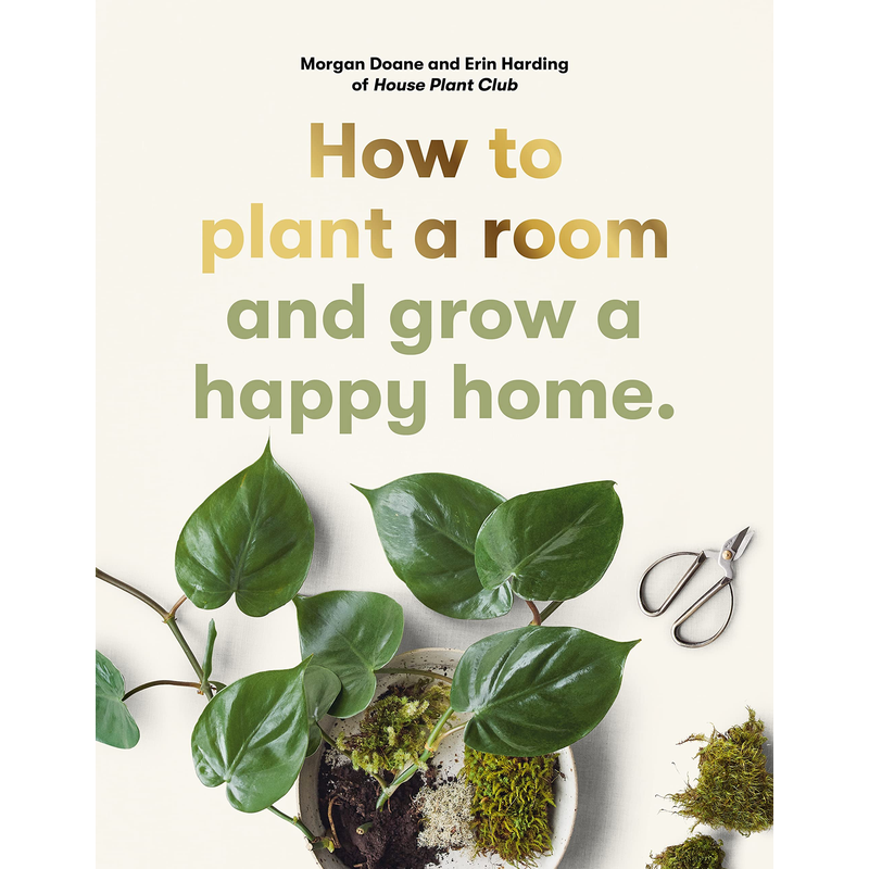 How to plant a room: and grow a happy home