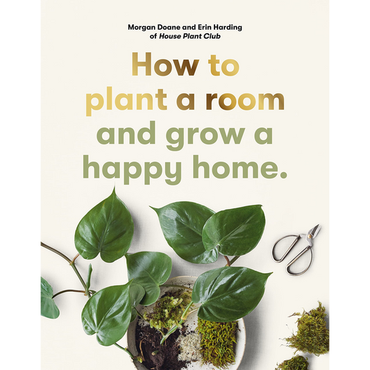 How to plant a room: and grow a happy home