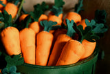 Felt Carrots 3 pack