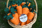 Felt Carrots 3 pack