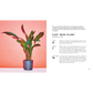 Little Book of House Plants and Other Greenery