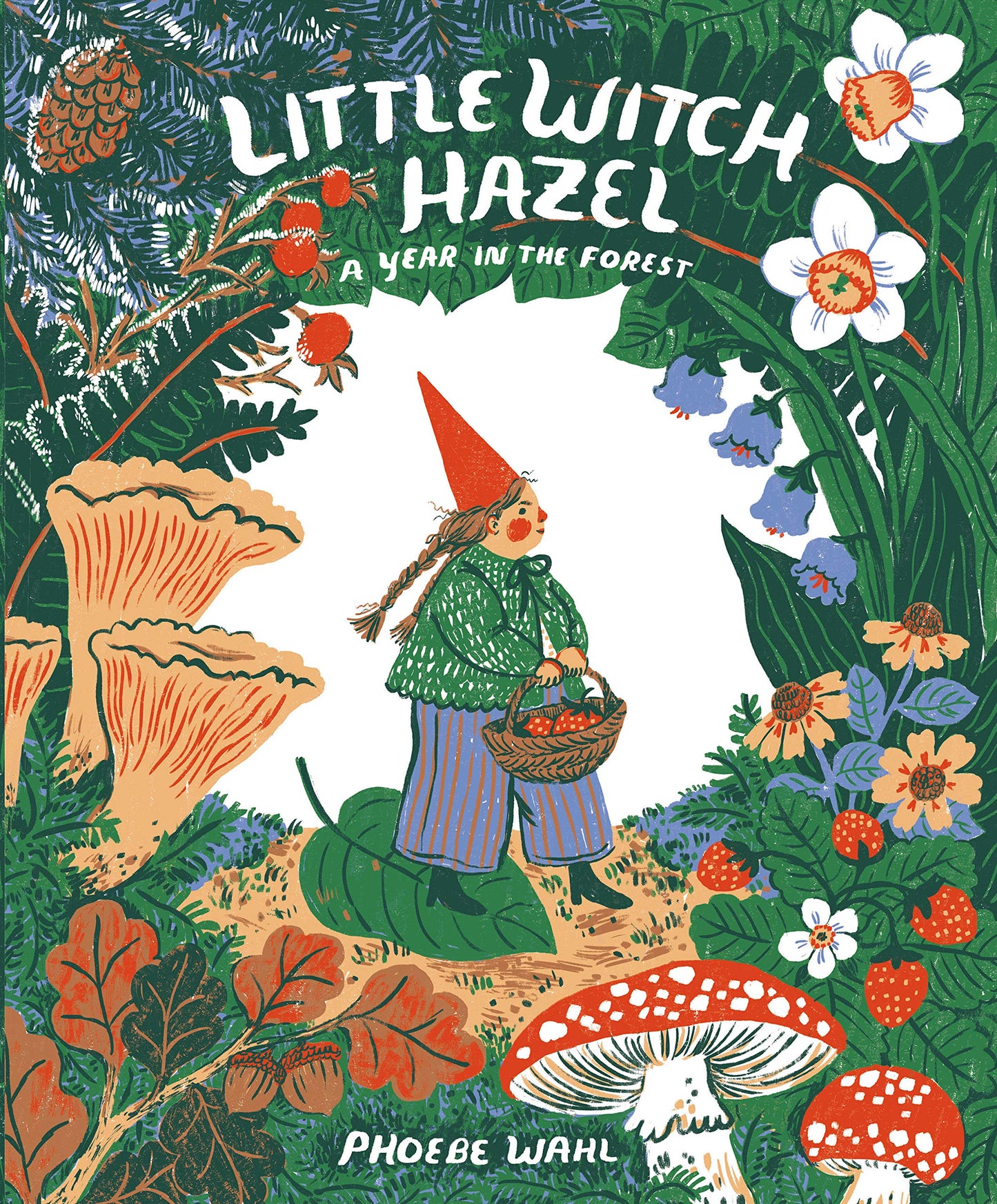 Little Witch Hazel- A Year in the Forest