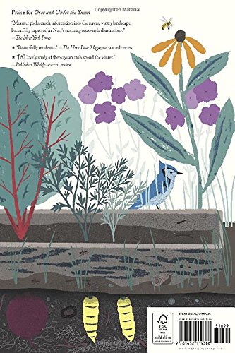 Up in the Garden and Down in the Dirt (Spring Books for Kids, Gardening for Kids, Preschool Science Books, Children's Nature Books)