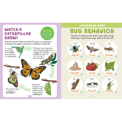 Backpack Explorer: Bug Hunt