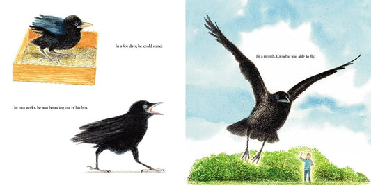 Crowbar The Smartest Bird in the World