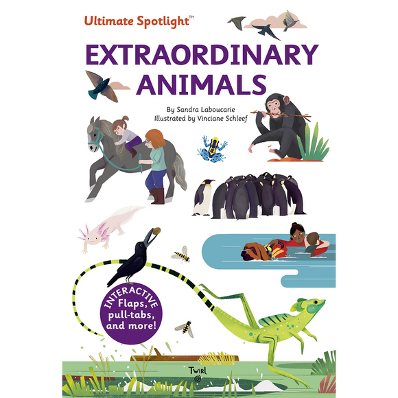 Ultimate Spotlight: Extraordinary Animals