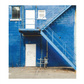 Find Momo: A Photography Book