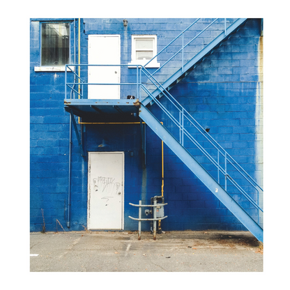 Find Momo: A Photography Book