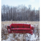Find Momo: A Photography Book