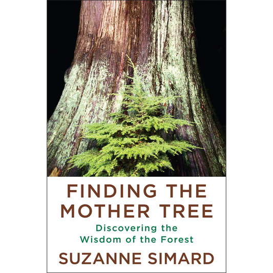 Finding the Mother Tree