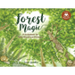 Forest Magic A Guidebook for Little Woodland Explorers
