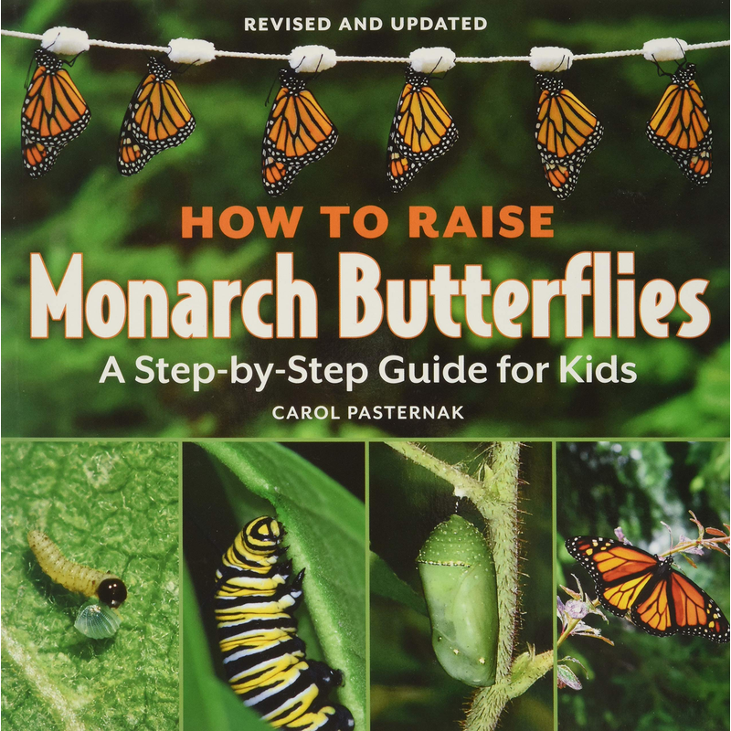 How to Raise Monarch Butterflies: A Step-by-Step Guide for Kids