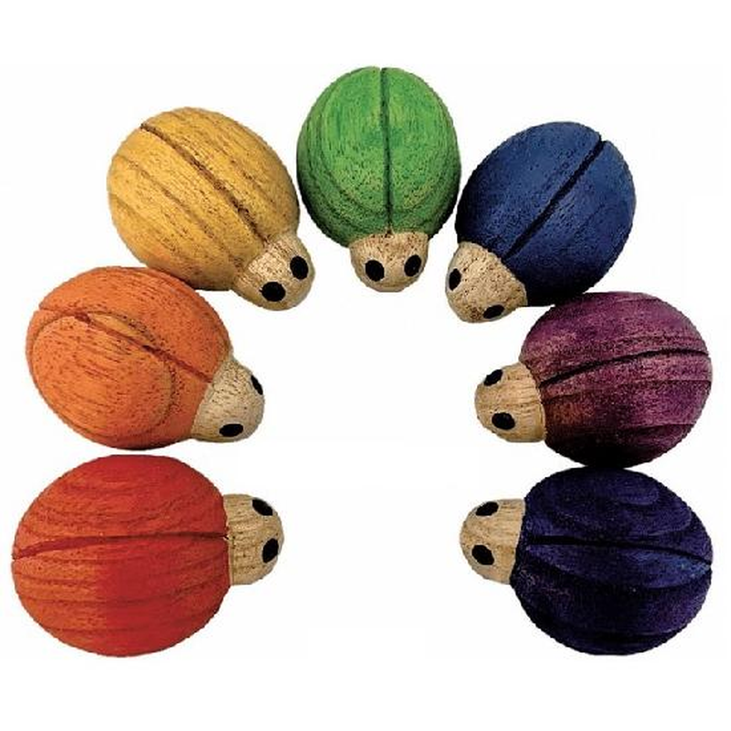 Ladybugs Rainbow