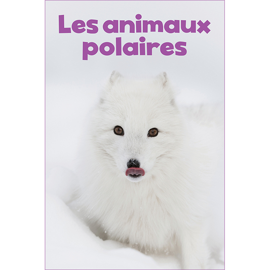 Les animaux polaires