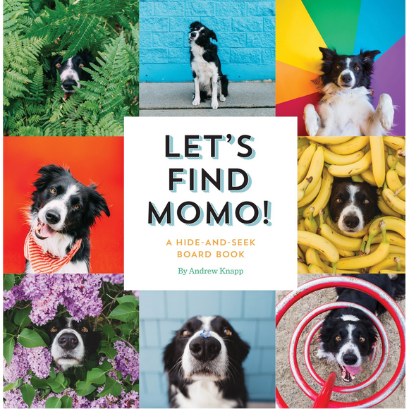 Let's Find Momo! A Hide-and-Seek Board Book