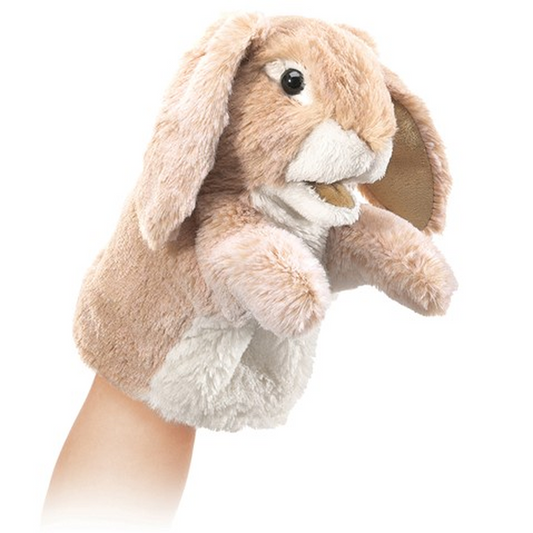 Little Lop Rabbit