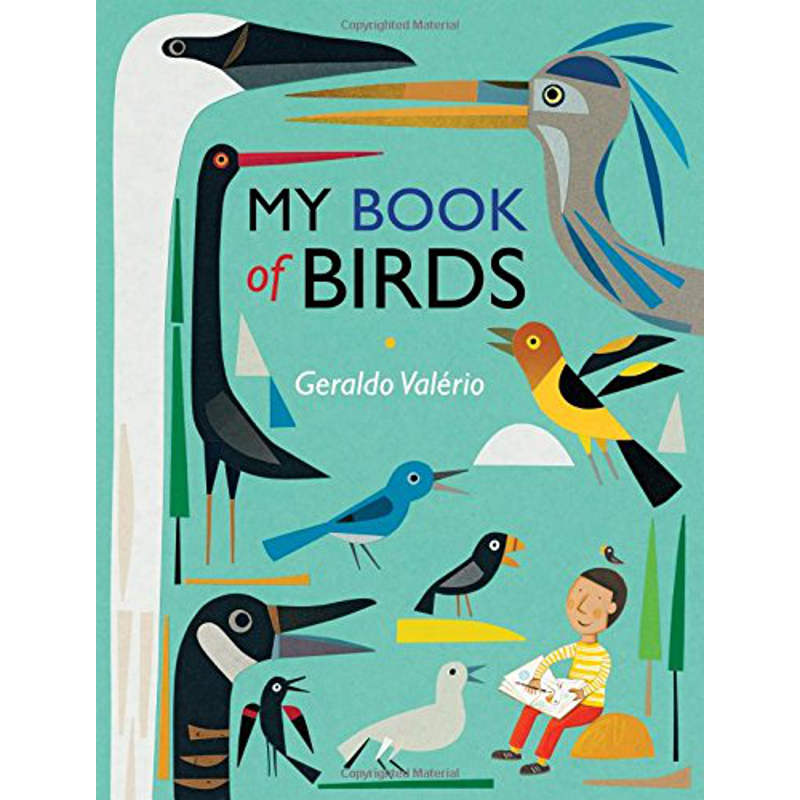 My Book of Birds