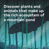 Over and Under the Pond (Environment and Ecology Books for Kids, Nature Books, Children's Oceanography Books, Animal Books for Kids)