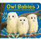 Owl Babies