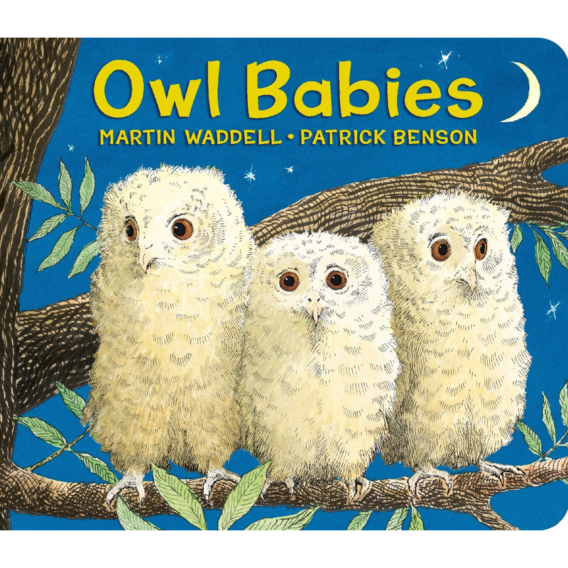 Owl Babies