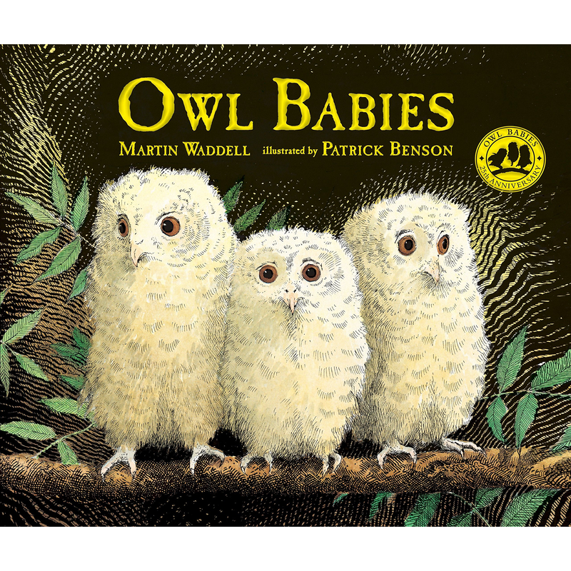 Owl Babies